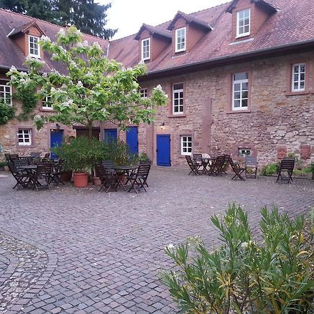 Отель Gastehaus Felsenmuhle Im Tal Neuleiningen Экстерьер фото